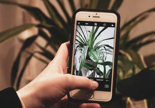 Identifica cualquier planta con las siguientes aplicciones